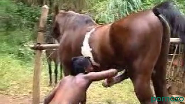 Негритоска в Африке сосет хуй у коня за деньги, скачать ролик