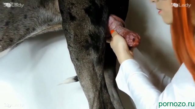 Телочка сосёт хуй, у дога на спор, зоофилия с собакой